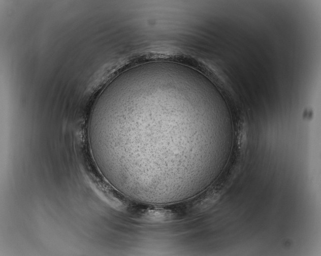 X0000115650455200911241738