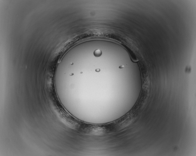 X0000115650456200911241738