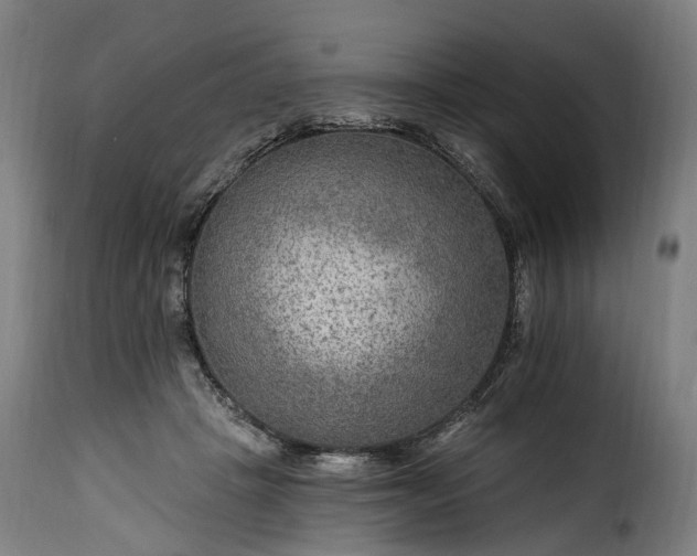 X0000115650457200911241738