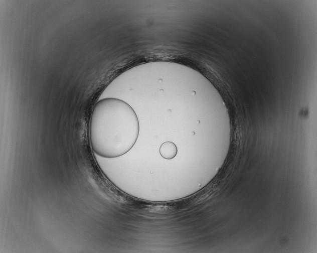 X0000115650459200911241738