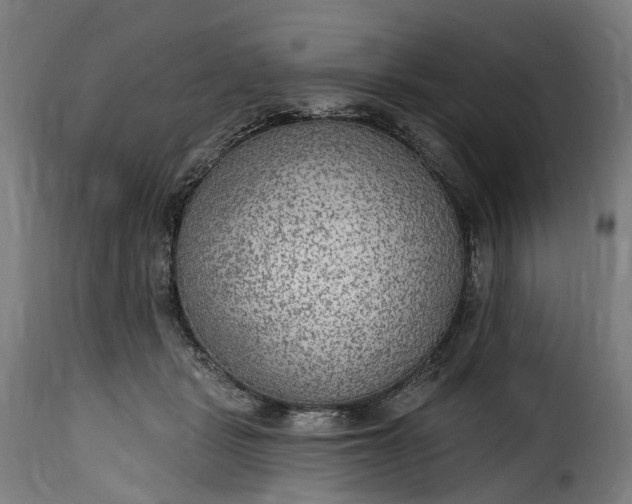 X0000115650461200911241738