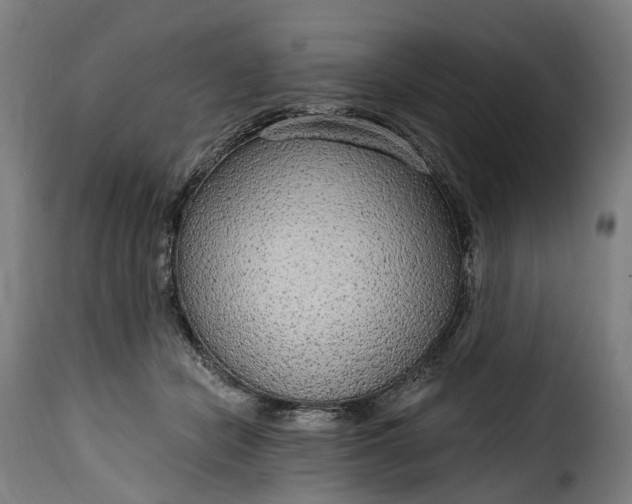 X0000115650462200911241738