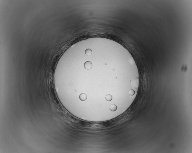 X0000115650463200911241738