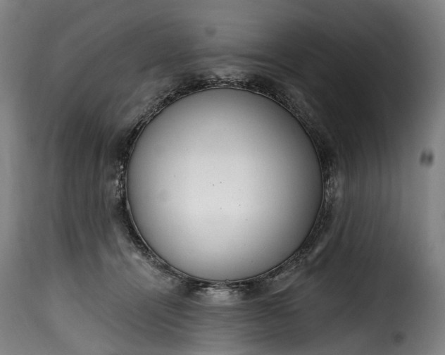 X0000115650464200911241738