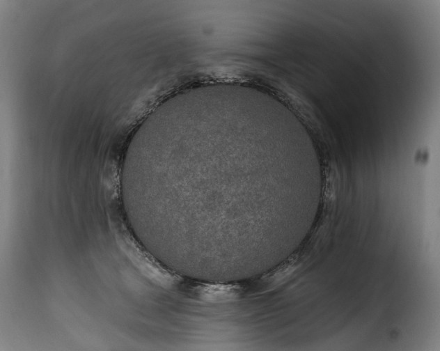 X0000115650465200911241738