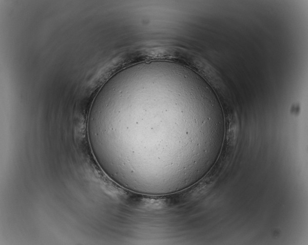 X0000115650469200911241738