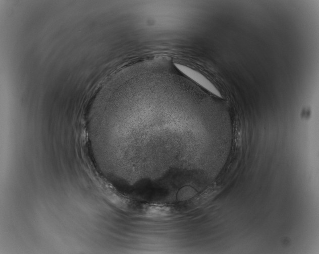 X0000115650471200911241738