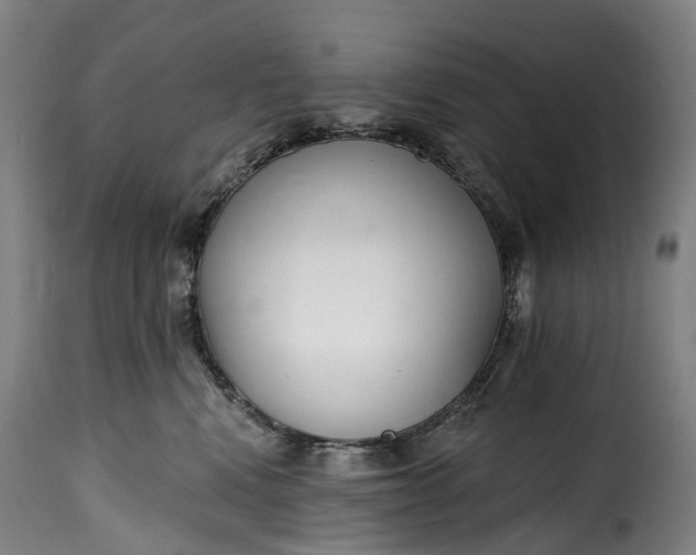 X0000115650472200911241738