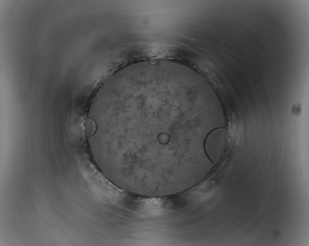 X0000115650473200911241738