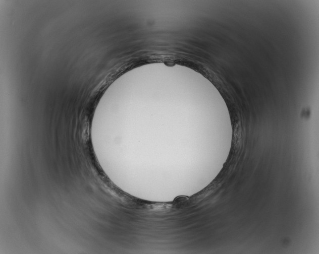 X0000115650474200911241738