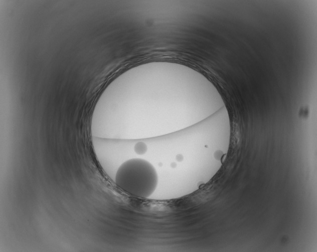 X0000115650475200911241738