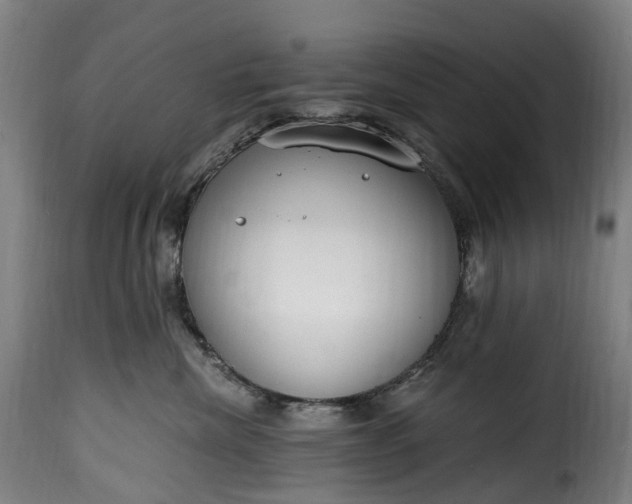 X0000115650476200911241738