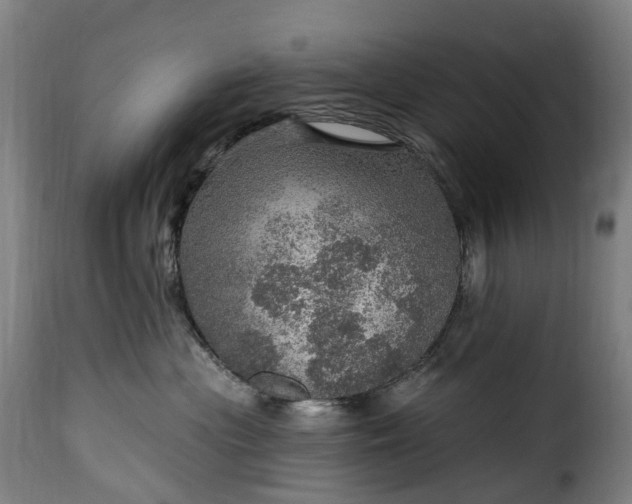 X0000115650477200911241738