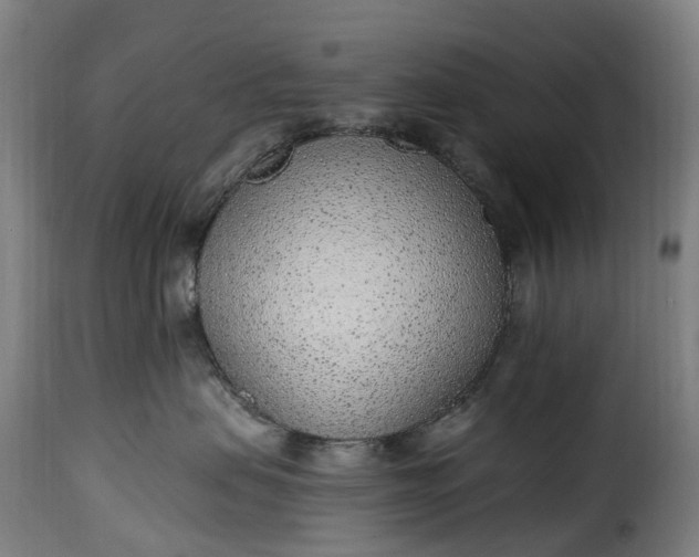 X0000115650479200911241738