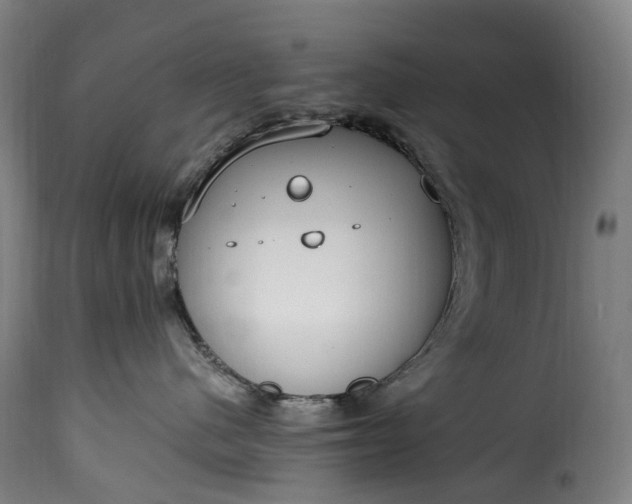 X0000115650480200911241738