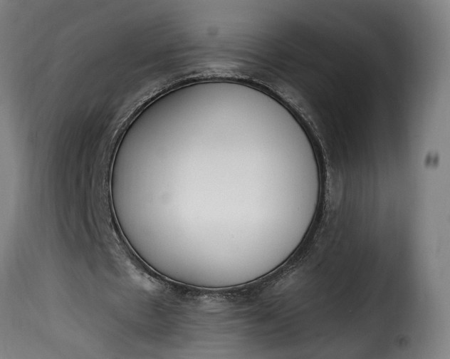 X0000115650481200911241737