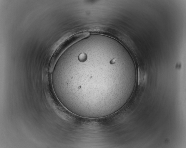 X0000115650483200911241737