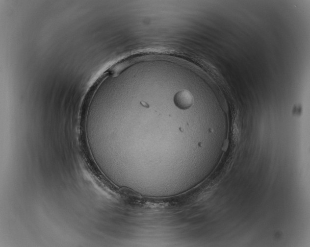 X0000115650484200911241737