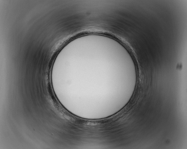 X0000115650487200911241737