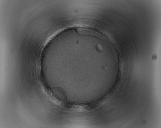 X0000115650488200911241737