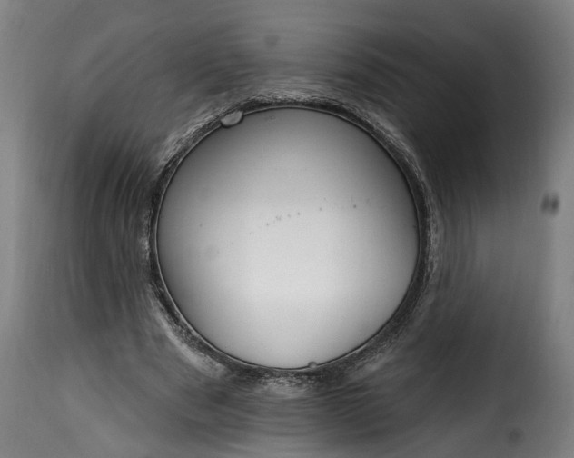 X0000115650489200911241737