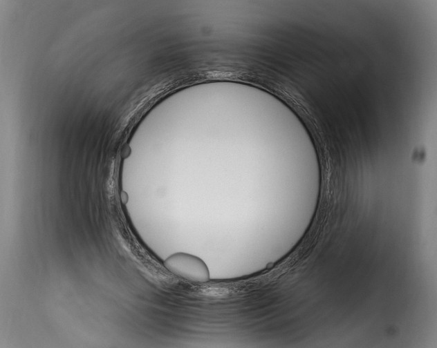 X0000115650490200911241737