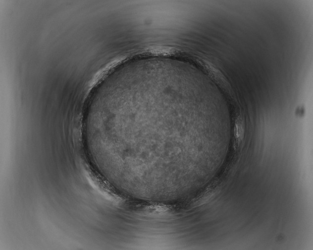 X0000115650492200911241737