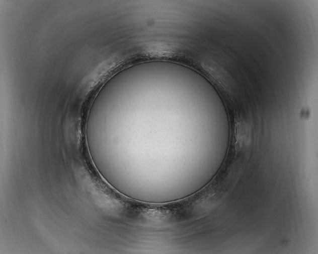 X0000115650494200911241737