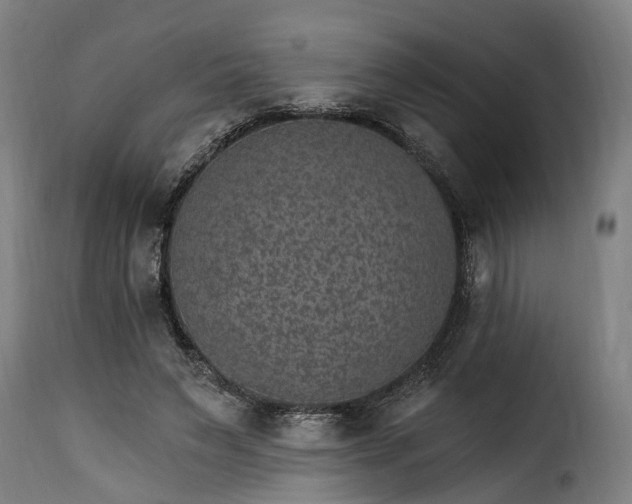 X0000115650495200911241737