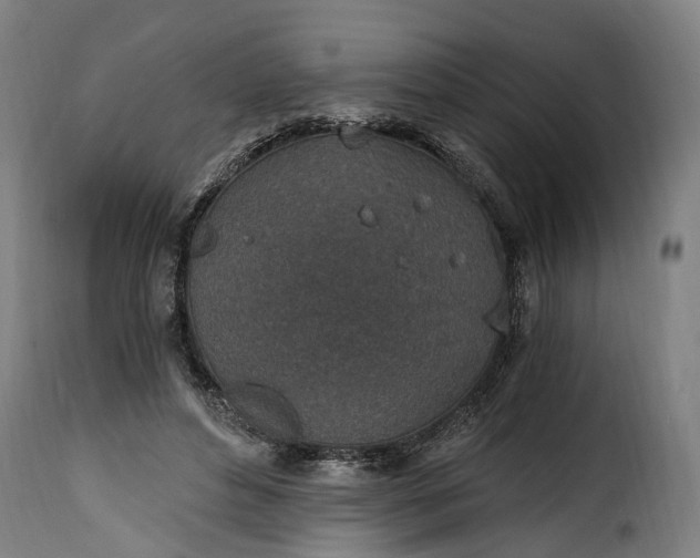 X0000115650496200911241737