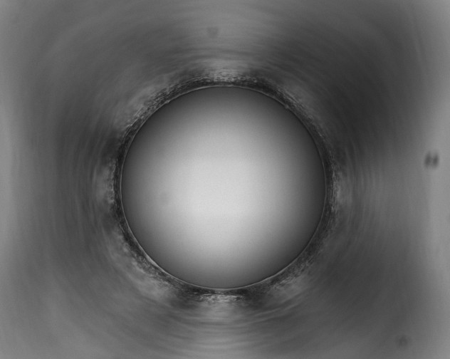 X0000115650497200911241737