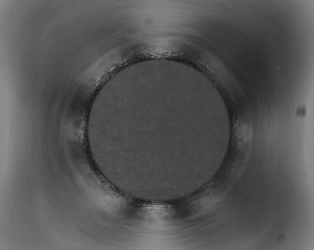 X0000115650499200911241737