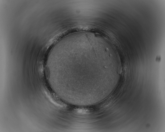 X0000115650500200911241737