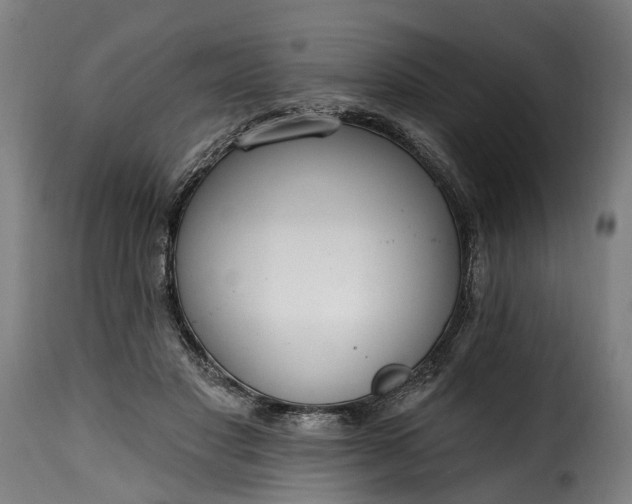 X0000115650501200911241737