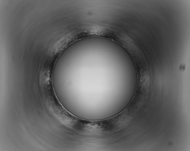 X0000115650502200911241737