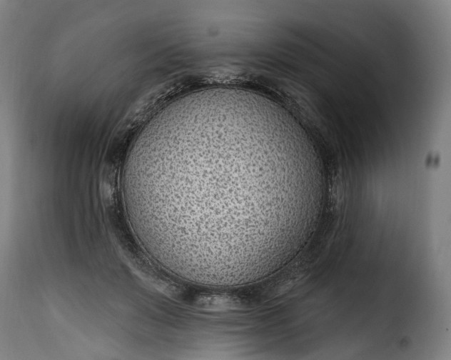 X0000115650503200911241737