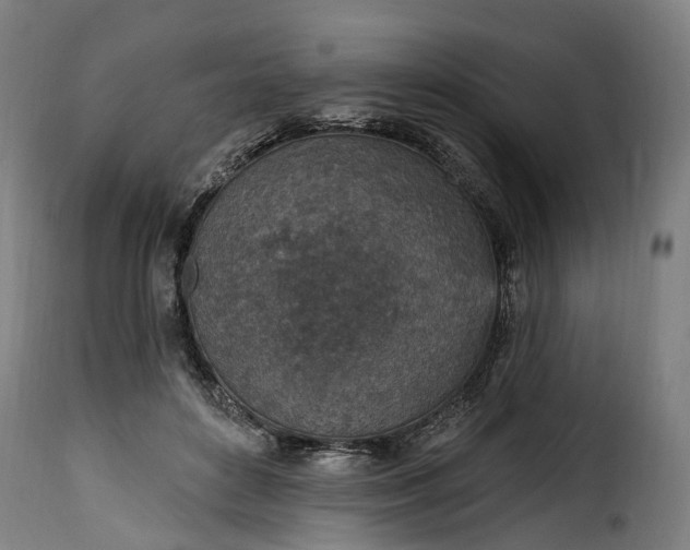 X0000115650504200911241737