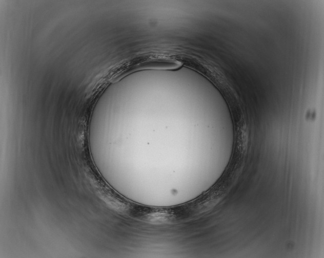 X0000115650505200911241737