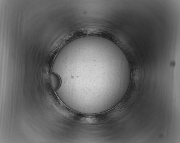 X0000115650506200911241737