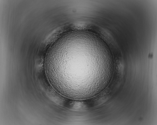 X0000115650507200911241737