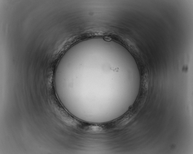 X0000115650509200911241737