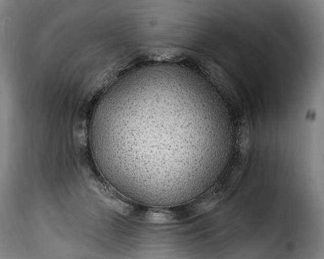 X0000115650510200911241737