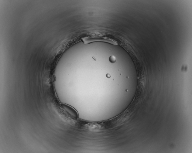 X0000115650512200911241737