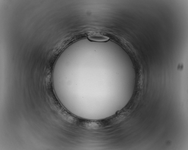 X0000115650513200911241737