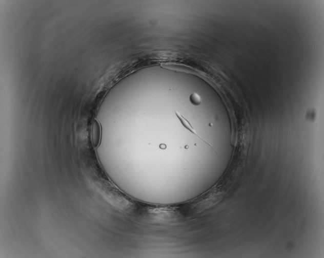 X0000115650516200911241737