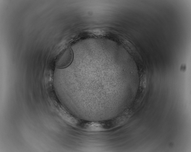 X0000115650518200911241737