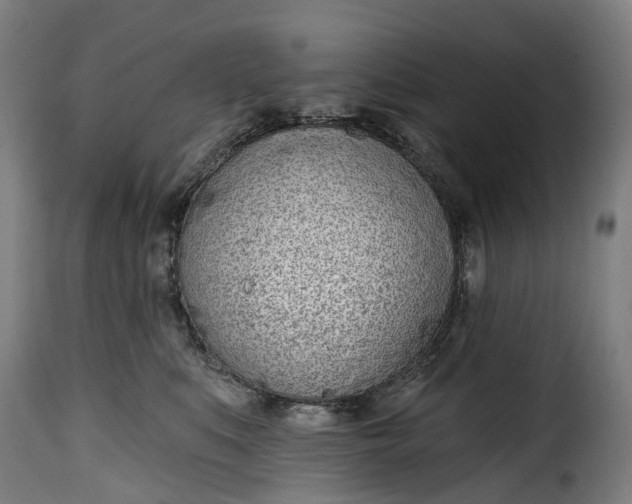 X0000115650519200911241737