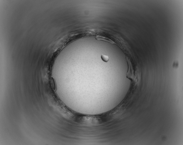 X0000115650520200911241737