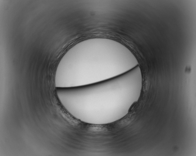 X0000115650521200911241737