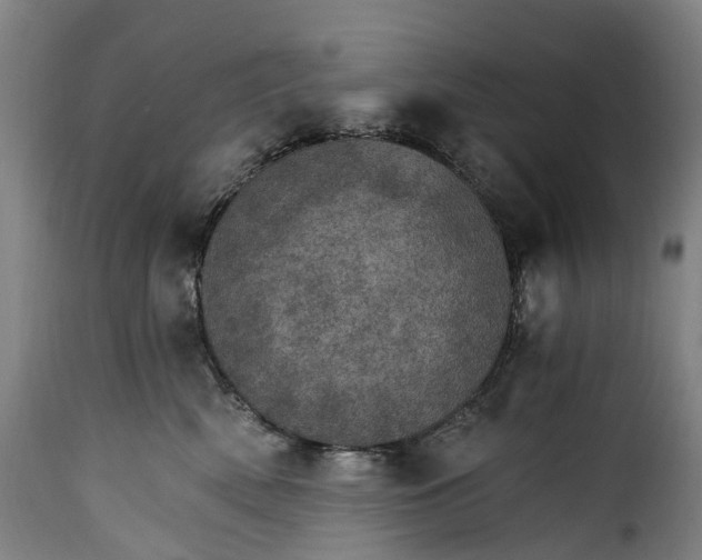 X0000115650522200911241737